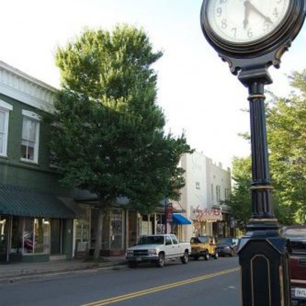 Meet your Posher, York